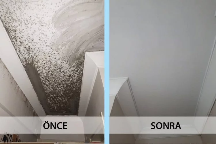 rutubet-oncesi-sonrasi Teras, Balkon ve Çatı Su Yalıtımı — Adım Adım Uygulamalı